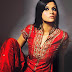 Punjabi Shalwar Kameez