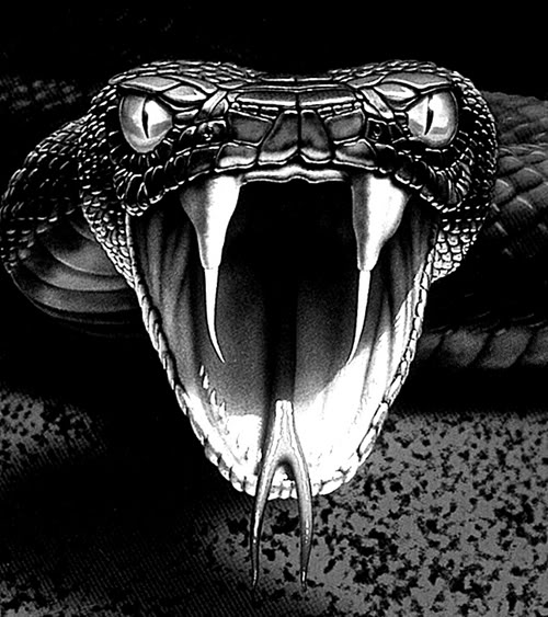 Snake Black Viper