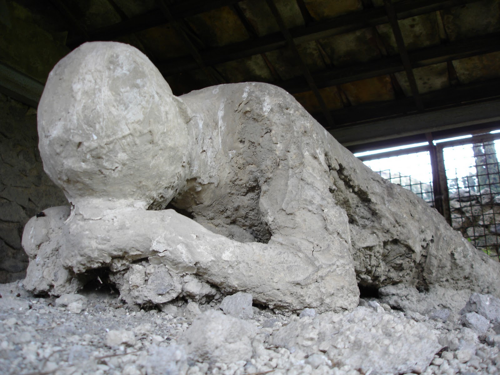 external image DSC00563.JPG