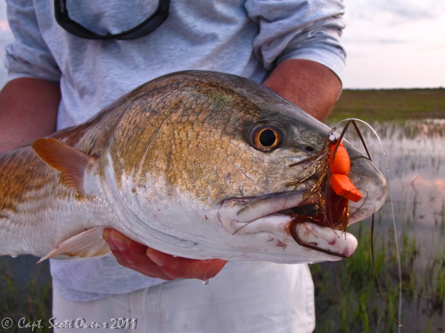 Trips, Flies and Fish..more Redfish