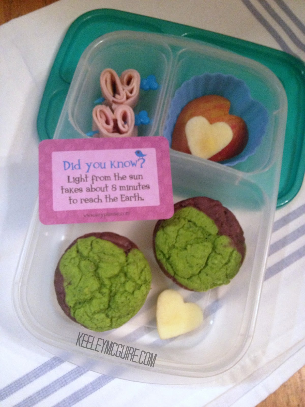 Gluten Free & Allergy Friendly Lunch Made Easy Happy Earth Day 2013!