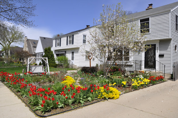 making grassless front yard