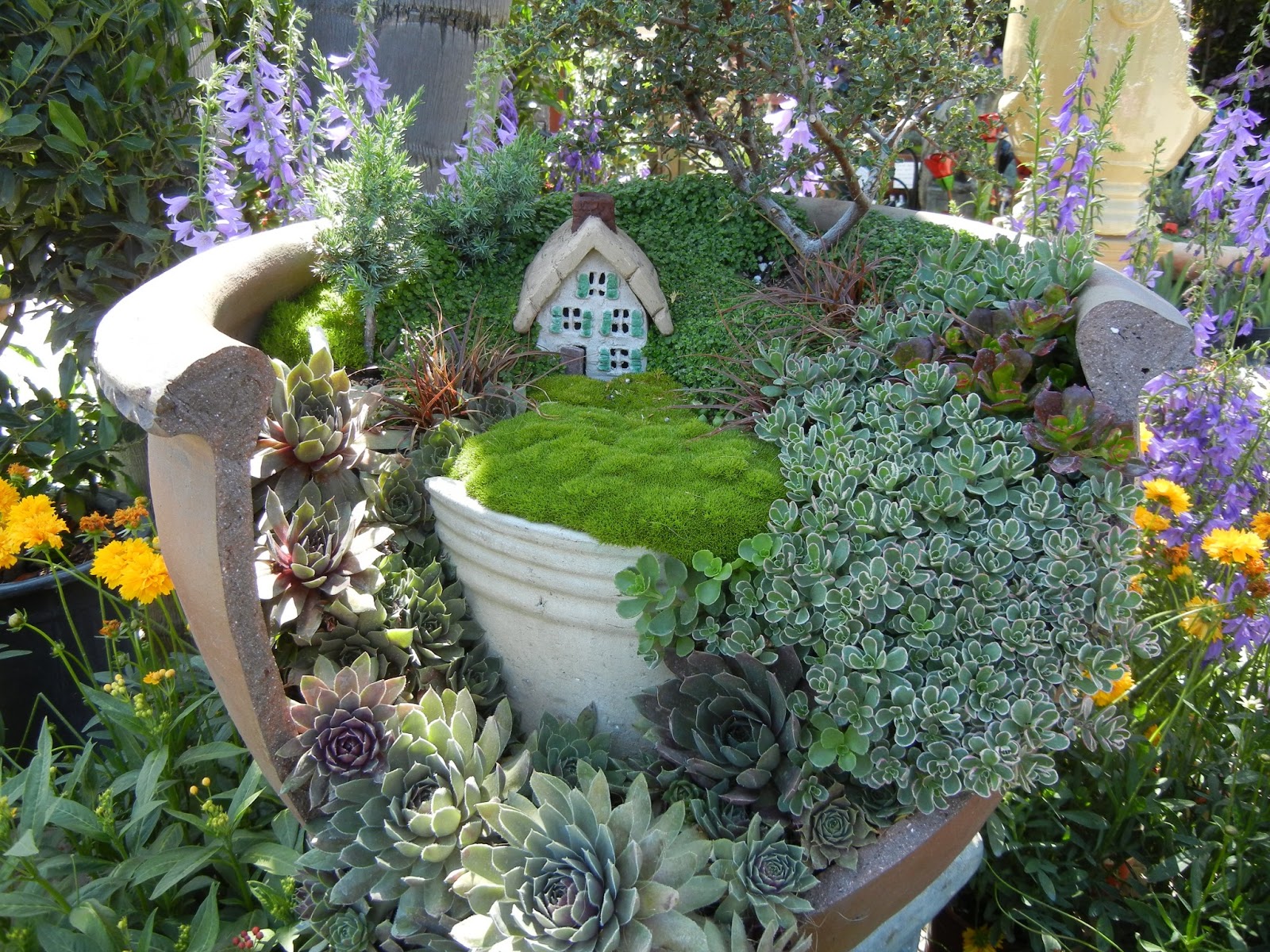 The Second Half Who Loves Fairy Gardens?