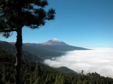 Teide