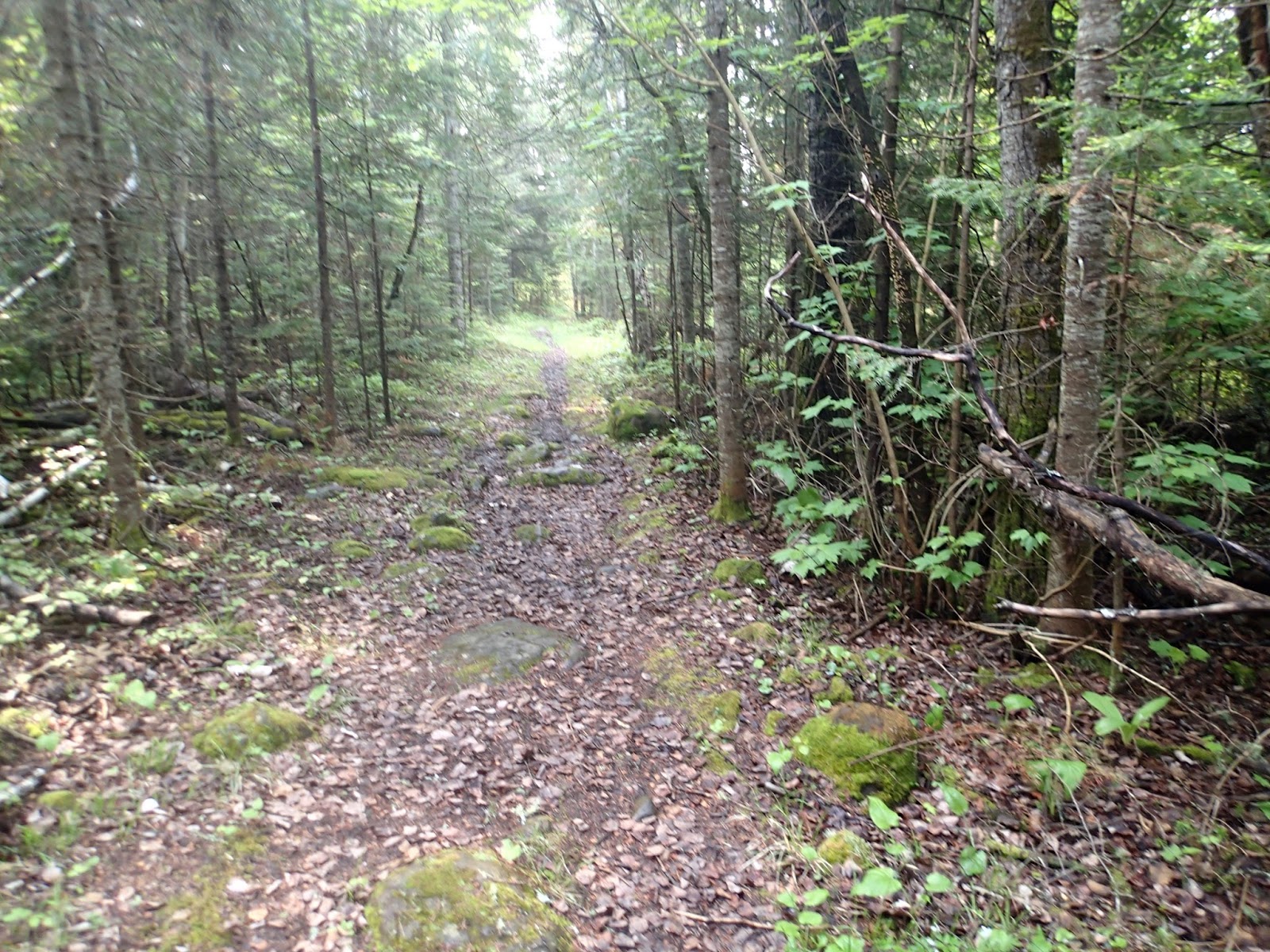 Reports The Grand Portage Trail