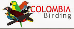 COLOMBIA BIRDING TOURS