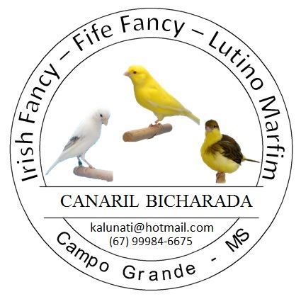 Canaril Bicharada