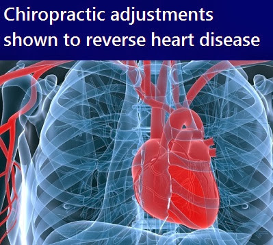 reversing heart disease