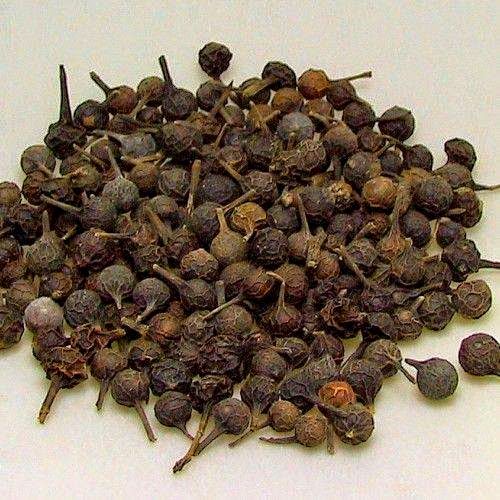 kebabe,kebabe faydaları, sağlıklı yaşam,şifalı bitkiler
