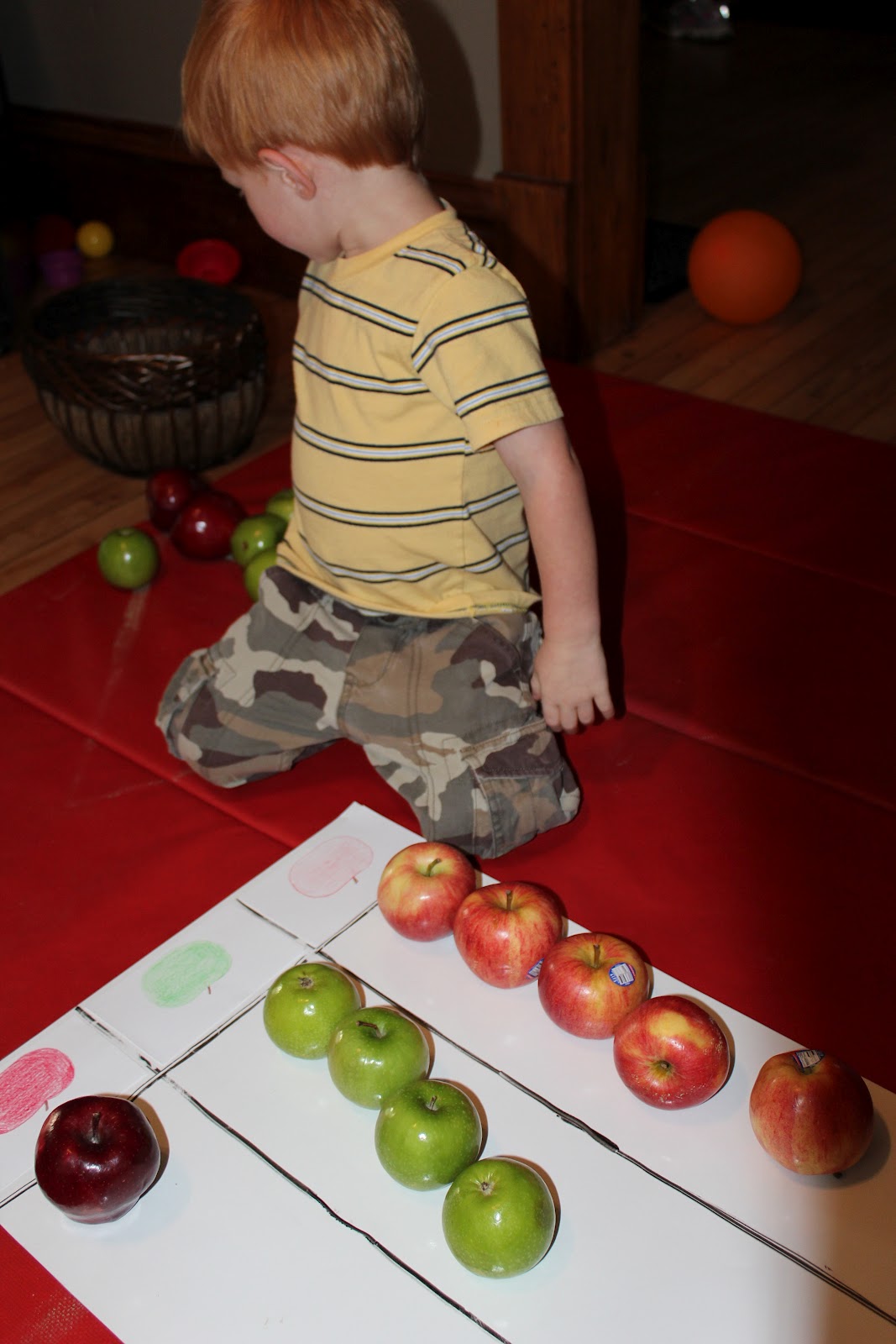 Apple Sorting & Graphing Teaching Mama