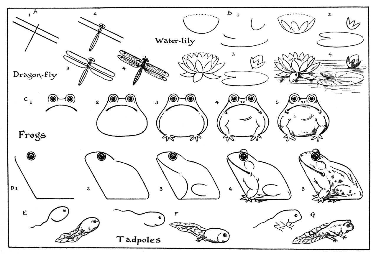 frog drawings Frog Eating a Fly Clip Art Image cartoon