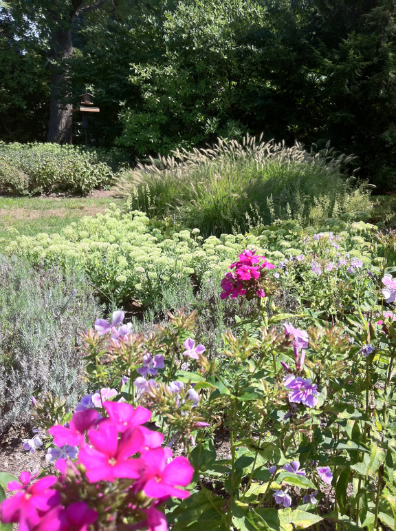 Crabapple LandscapExperts Sun & Shade Plant Requirements DeMystified