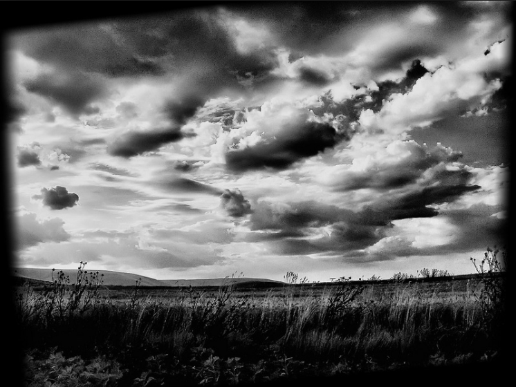 Formal Elements Of Photography : Photography unit importance of the formal elements
