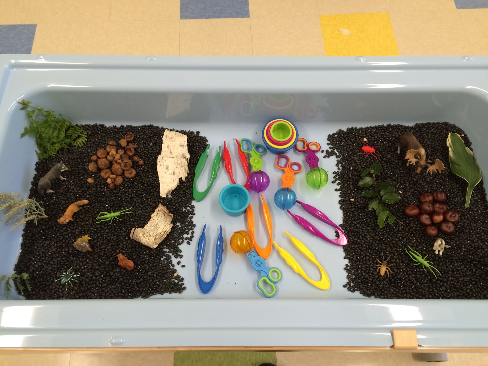 Creative Projects for Kids Forest Sensory Bin