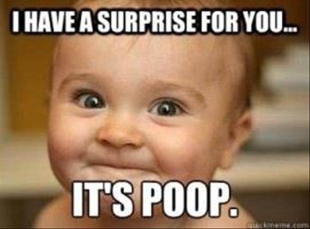 Very Funny Photo Very Funny Photo