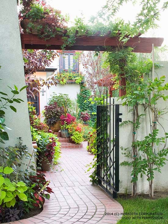 Luxury Market Girl: Backyard Landscaping Ideas for Privacy