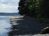 Gravel Beach: Point Robinson