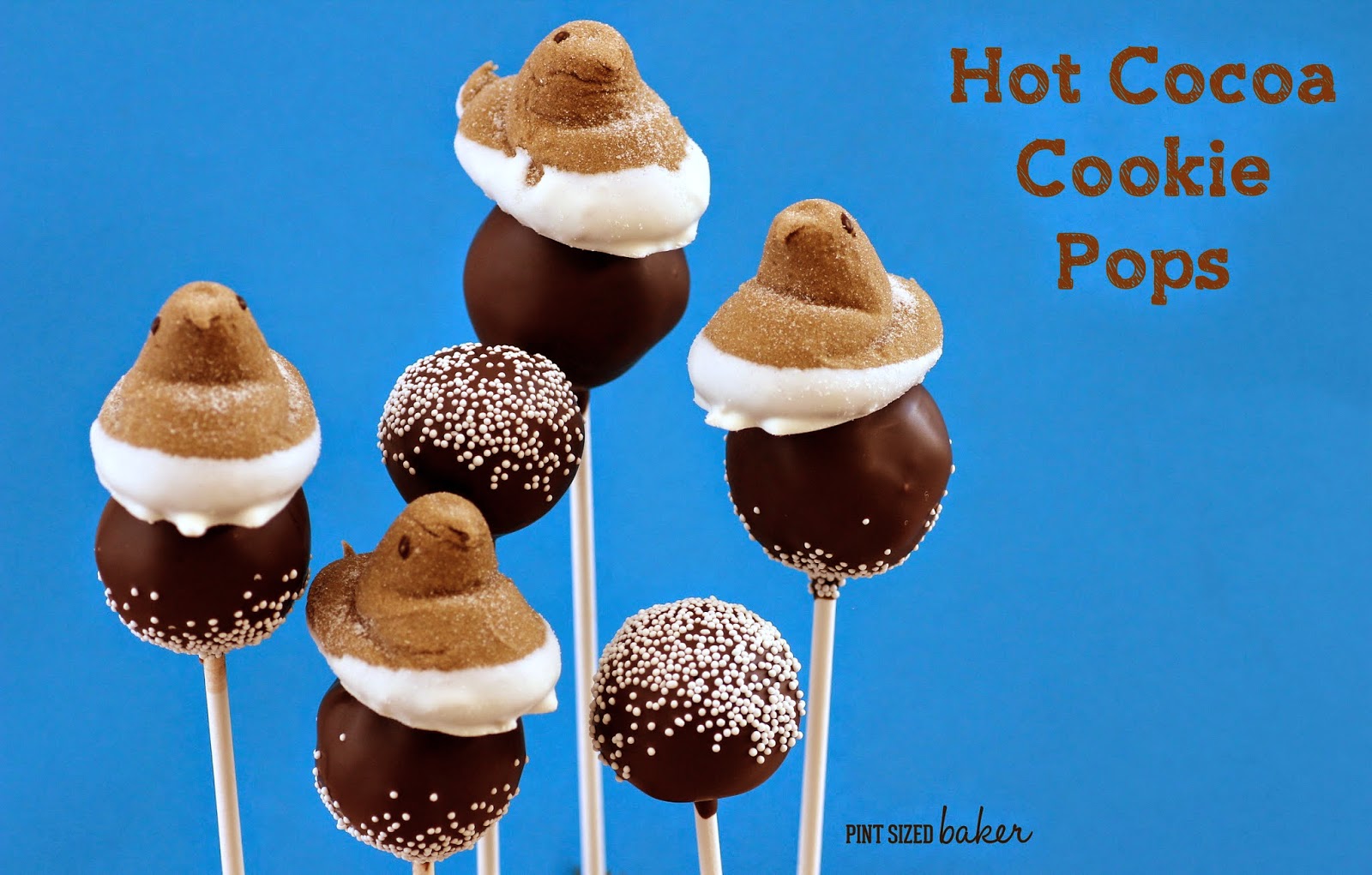 Make some Hot Cocoa Cookie Pops with the kids on the next snow day! Get the full tutorial on how to make them now!
