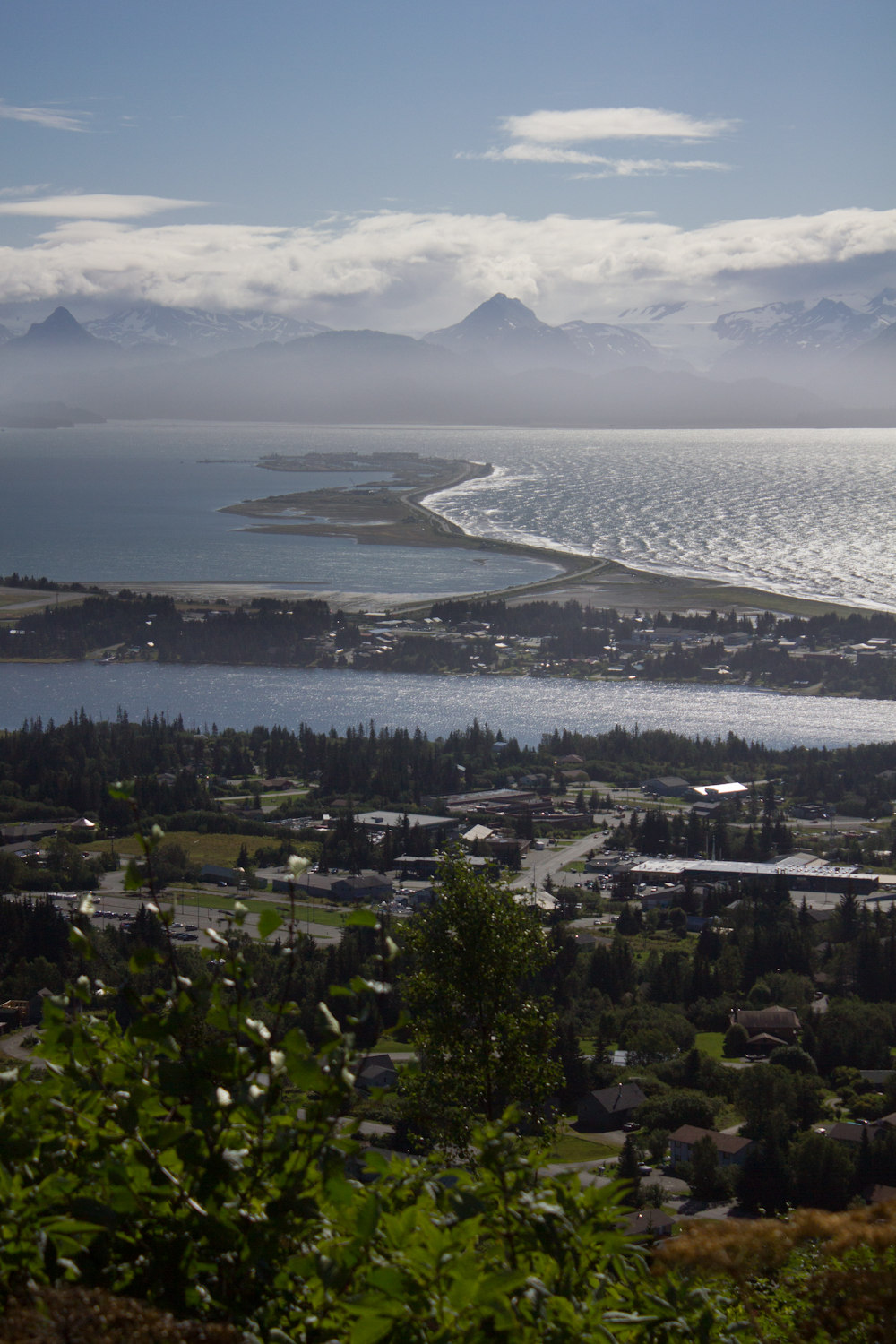 Oh, The Places We Went Homer, AK Activities