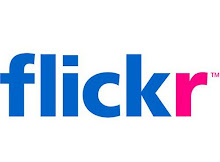 EL MEU FLICKR