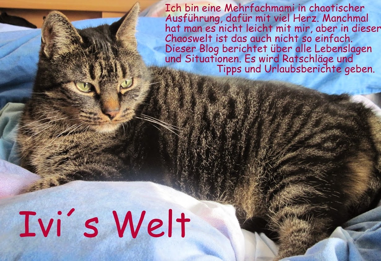 IVI´s WELT