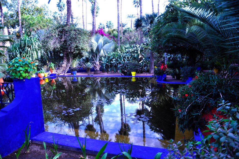 Reflections in a still garden pond .....Marjoral Garden, Marrakech