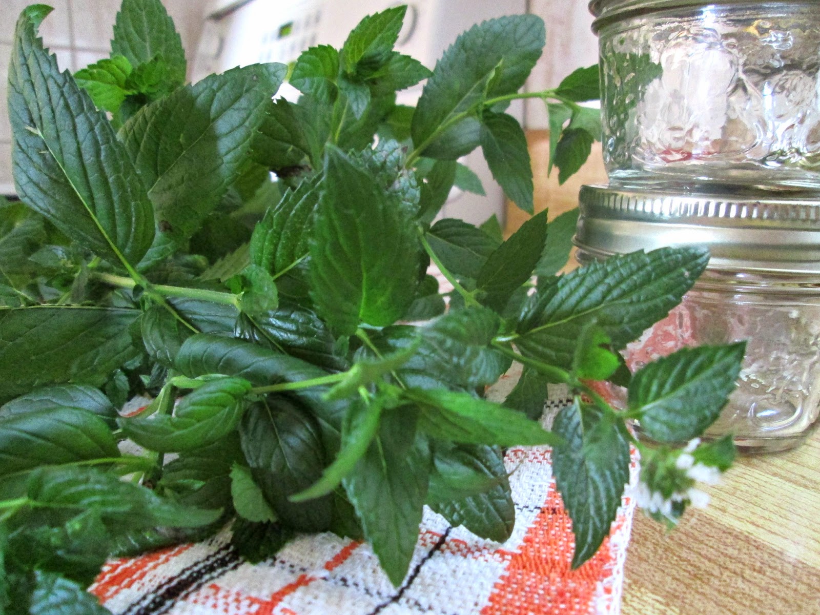 Just my Stuff Classic Mint Sauce with Malt Vinegar