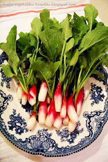 benefits_of_eating_radishes_fruits-vegetables-benefits.blogspot.com(benefits_of_eating_radishes_12) benefits_of_eating_radishes_fruits-vegetables-benefits.blogspot.com(benefits_of_eating_radishes_12)