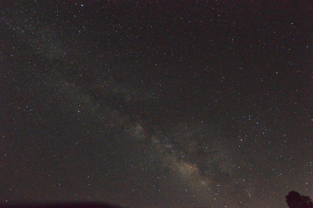 昆虫親父日記 七夕の星空