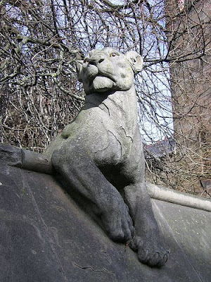 Lioness on the Animal Wall Animal Wall Lioness
