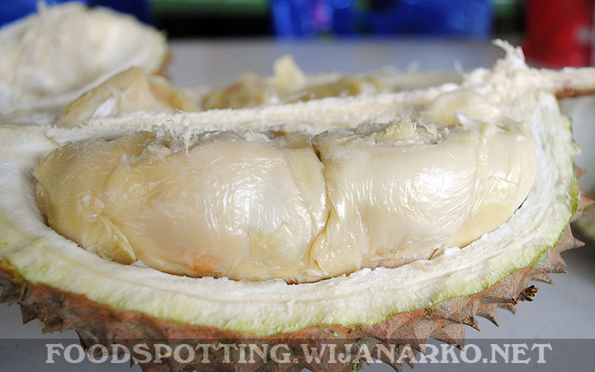Durian Pekanbaru Durian Pekanbaru