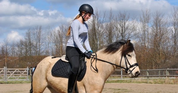 Denna sida uppdtaeras inte längre. Gunnesbo 4H-gård har en ny hemsida www.gunnesbo4h.se: Djuren Denna sida uppdtaeras inte längre. Gunnesbo 4H-gård har en ny hemsida www.gunnesbo4h.se: Djuren