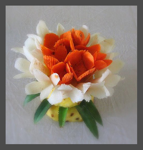 imazes vegetable design imazes vegetable design