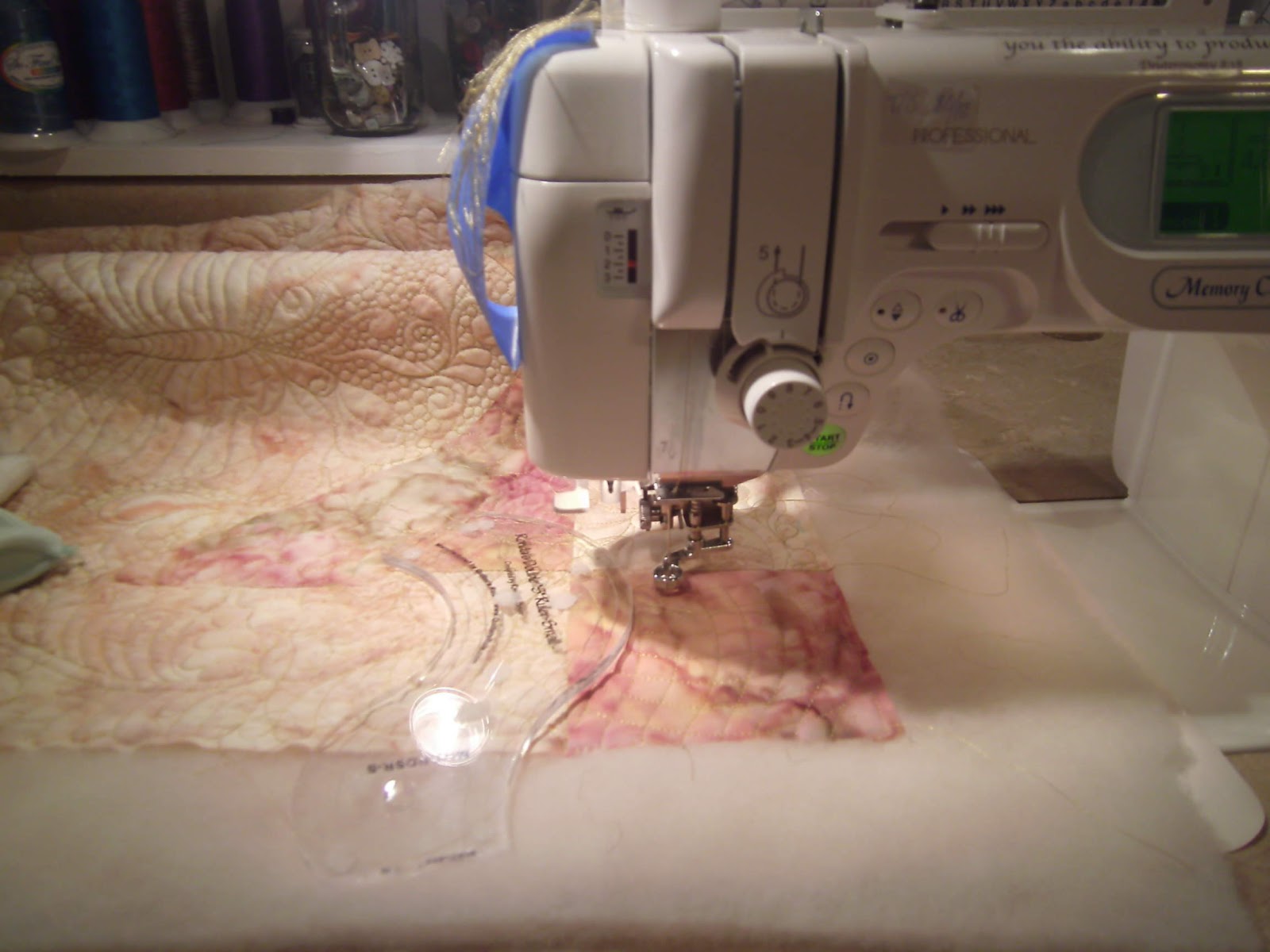 Amy's Free Motion Quilting Adventures Quilting with Rulers on a