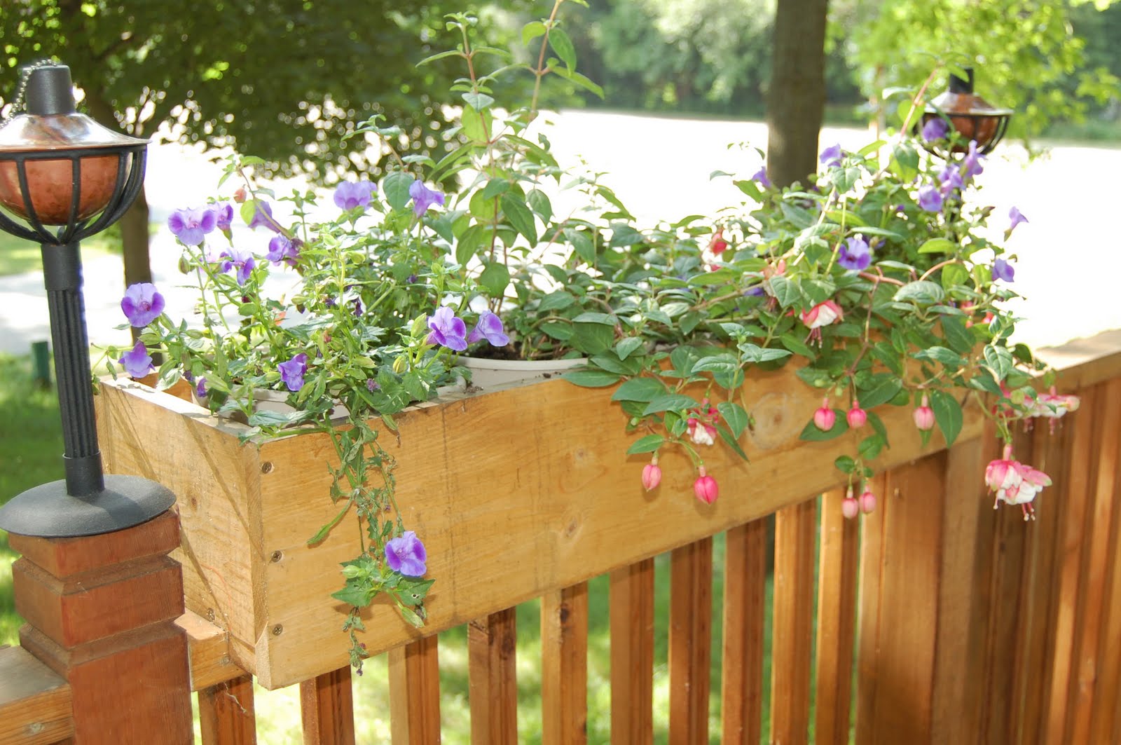 The Green Caterpillar In the Garden Deck Planters