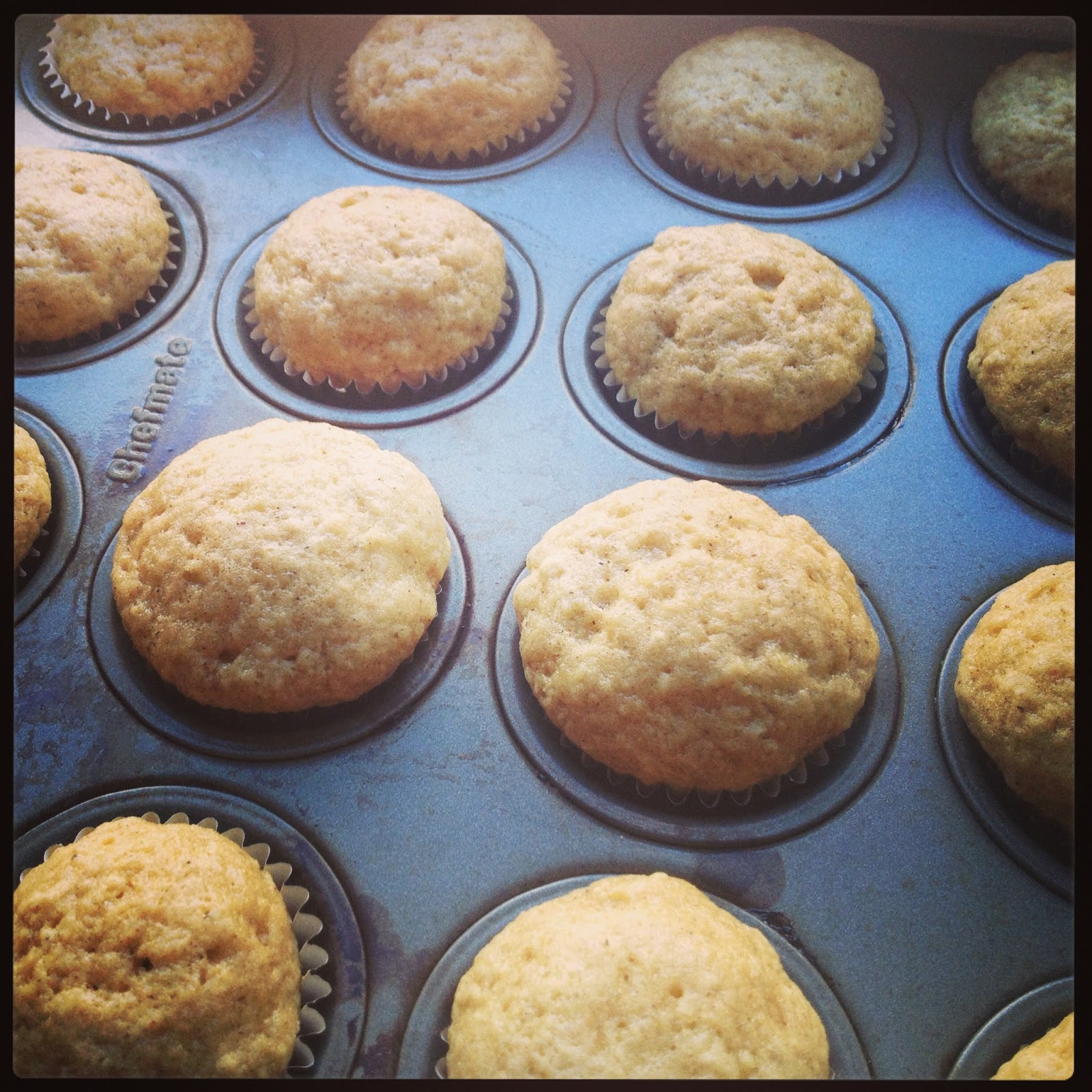 foodrefuge Royal Spiced Cupcakes (Gluten Free) for National Cupcake