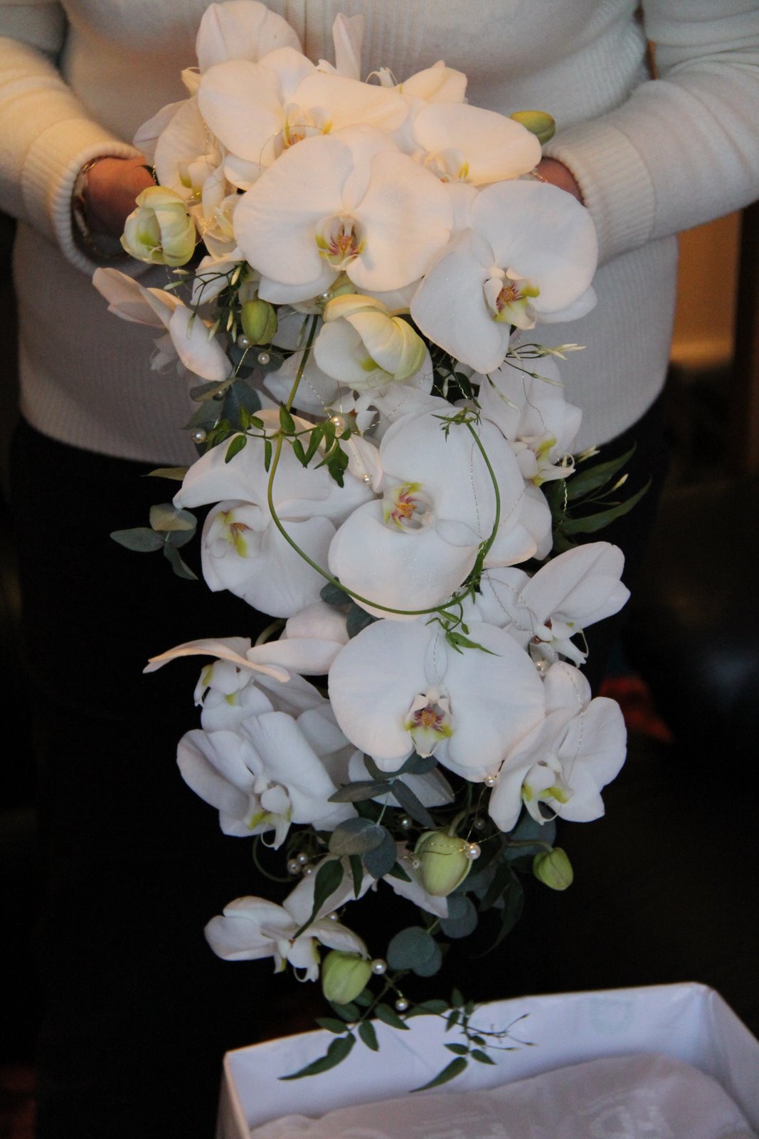 The Flower Magician Phalaenopsis & Jasmine Cascade Wedding Bouquet