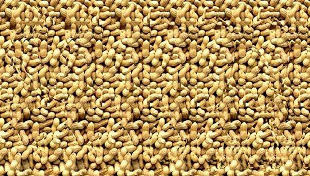 [Image: 966285_10151377173887606_1675210863_o.jpg]