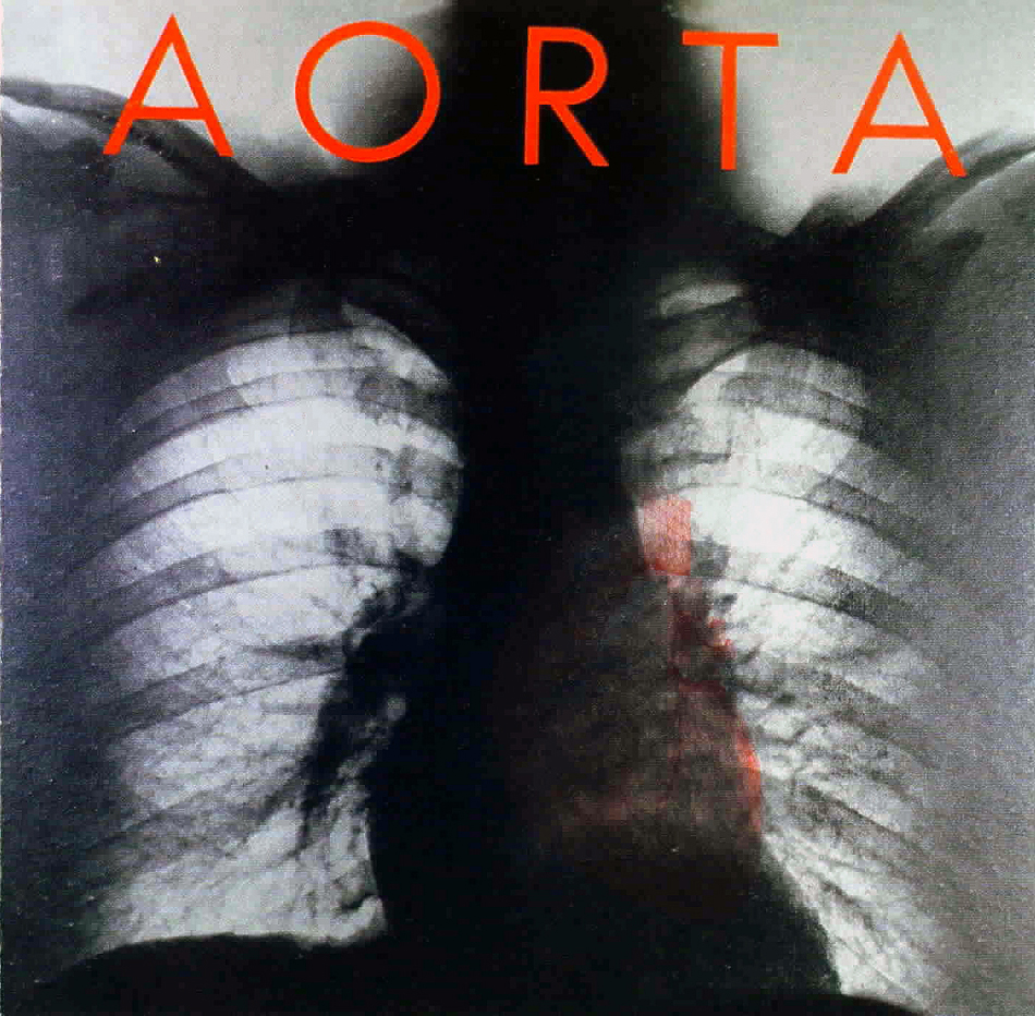 Rockasteria Aorta - Aorta 1969 us excellent wild psychedelia with a hint  of early progressive rock
