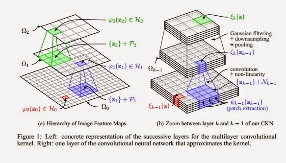 convolutional neural network