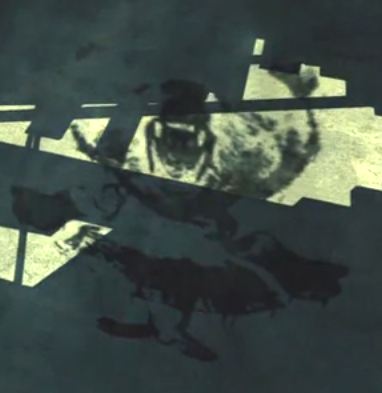 The Story Behind The Teddys In Call Of Duty The Story Behind The Teddys In Call Of Duty