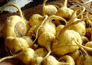 Maca por montón