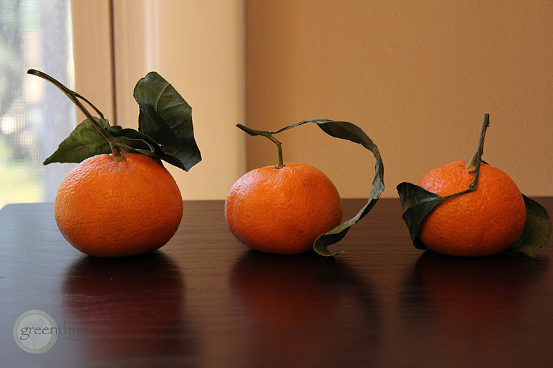 greenthyme Satsuma Spinach Salad with Roasted Beets