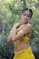 Hari, priya, hot, navel, show, and, cleavage, show
