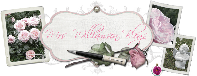 Mrs. Williamson Blogs