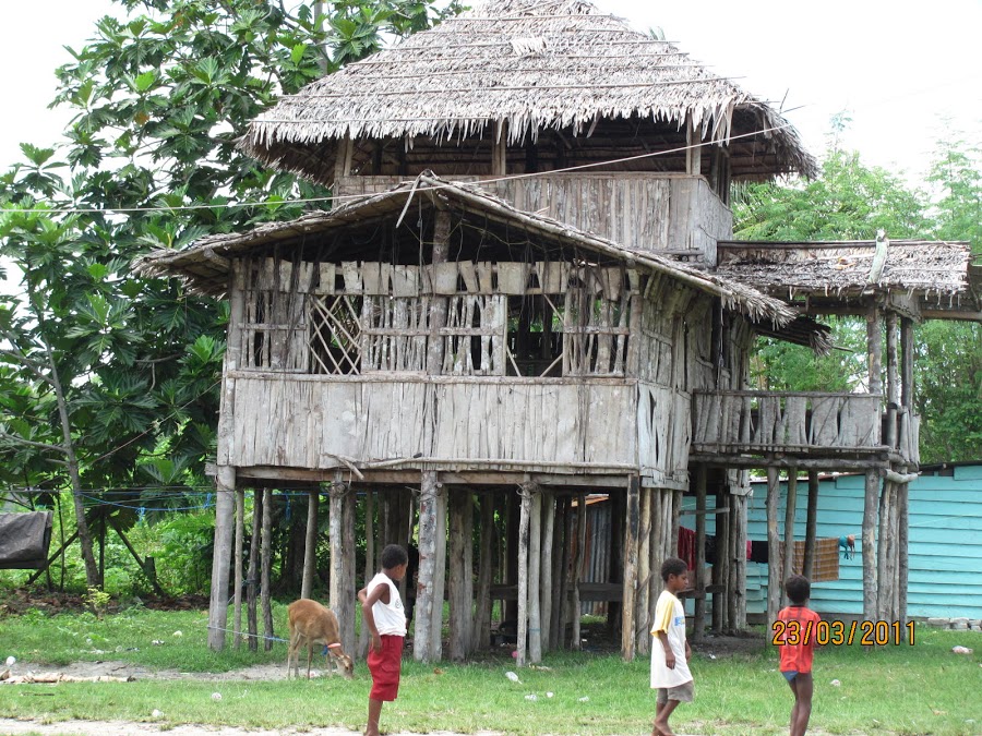 Budaya Papua Barat - THE COLOUR OF INDONESIA