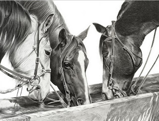 dibujos-de-caballos-realismo-a-lapiz Dibujos Caballos Realismo Lapiz
