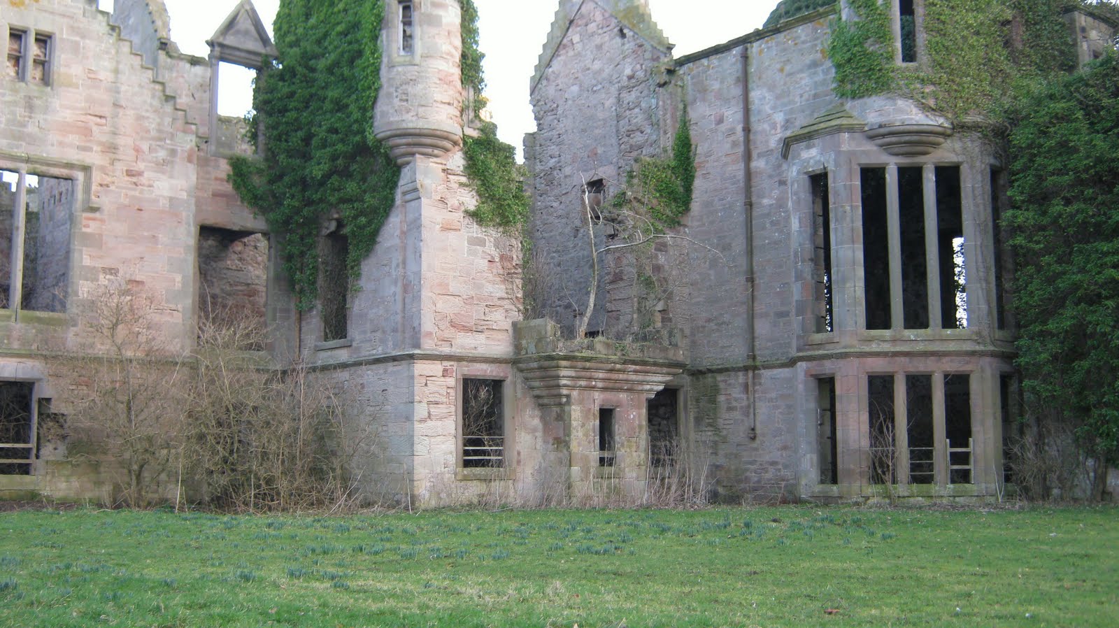 coastrider The Ruins of Seacliff House...