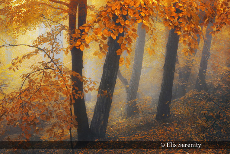Emerging Photographers, Best Photo of the Day in Emphoka by Elis Serenity, https://flic.kr/p/xU3Sb9 Emerging Photographers, Best Photo of the Day in Emphoka by Elis Serenity, https://flic.kr/p/xU3Sb9