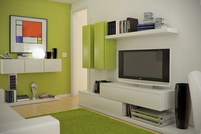 Cat interior